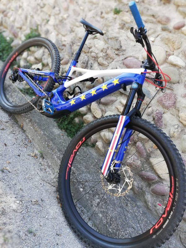 Stelle Blu Bike